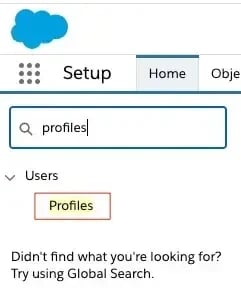 screenshot showing you need From the Quick Find box, search and select Profiles.